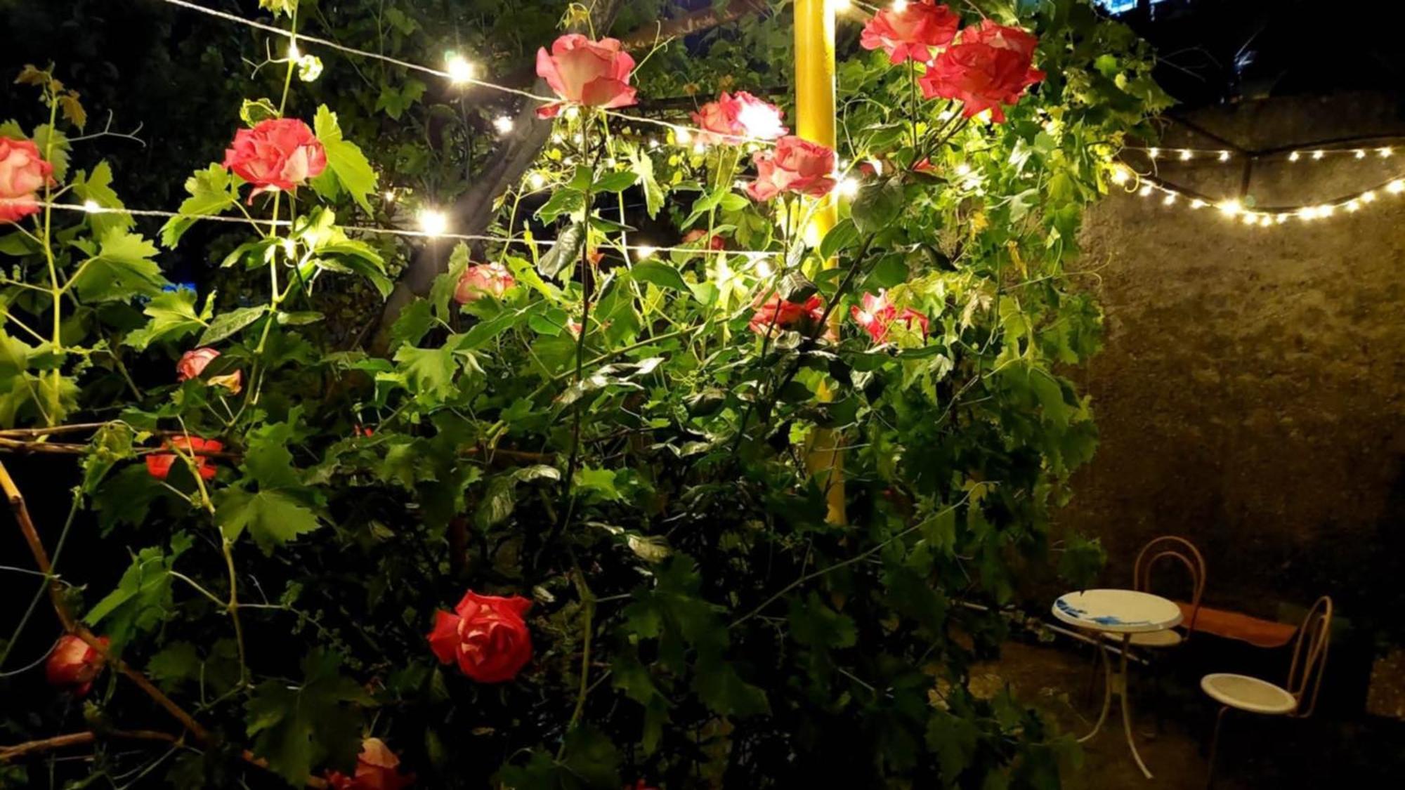 Guesthouse "Door" In ซิคนาคี ภายนอก รูปภาพ