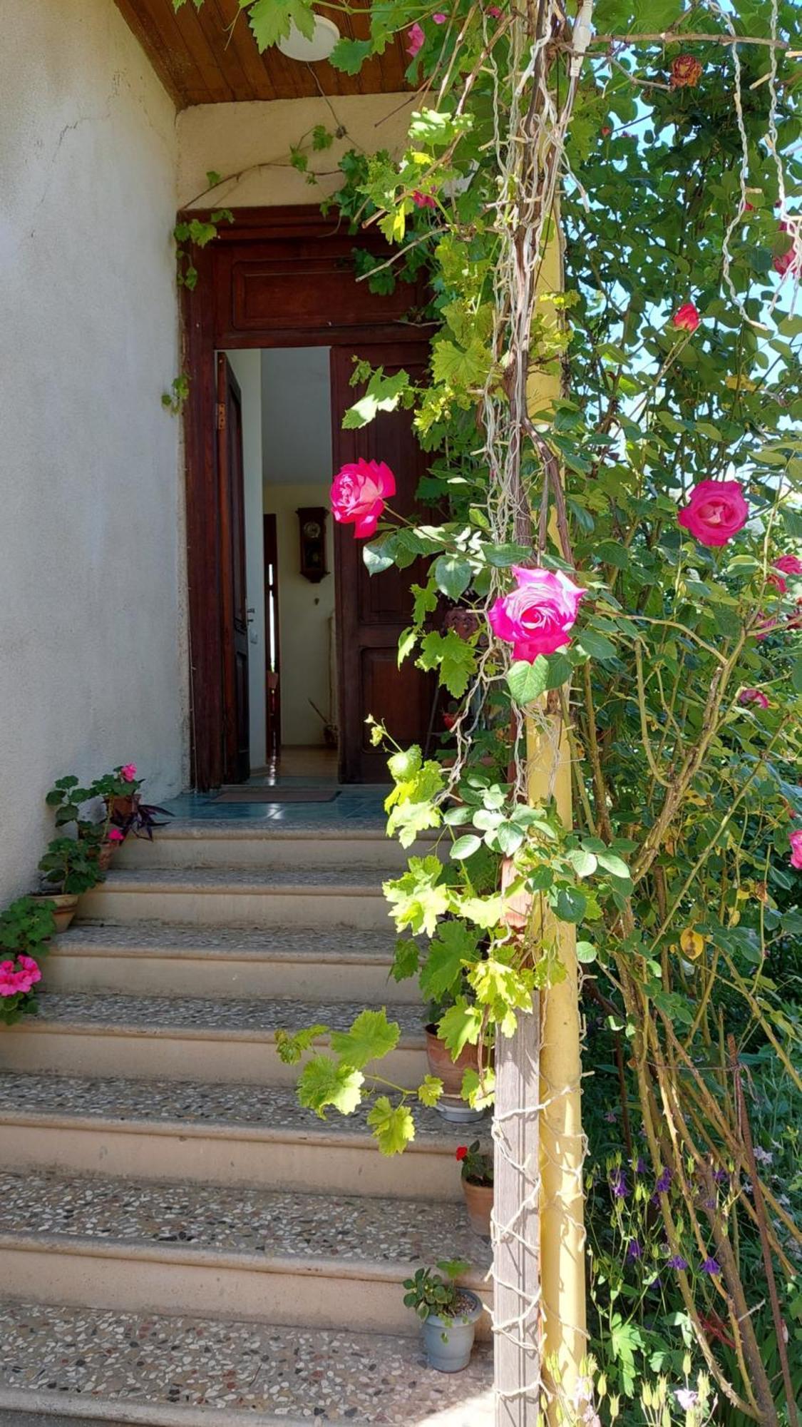 Guesthouse "Door" In ซิคนาคี ภายนอก รูปภาพ